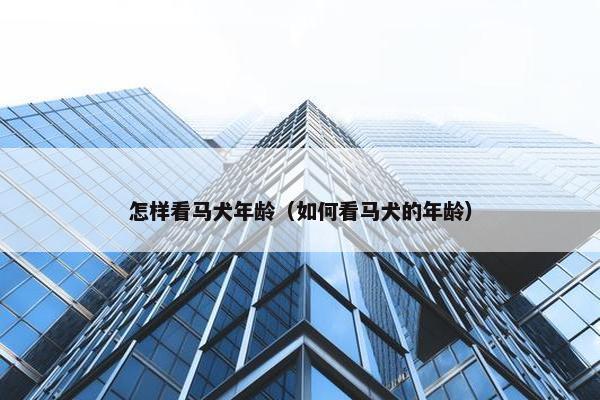 怎样看马犬年龄（如何看马犬的年龄）