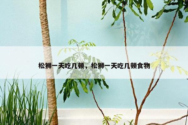 松狮一天吃几顿，松狮一天吃几顿食物