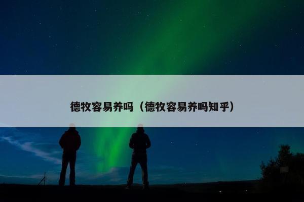 德牧容易养吗（德牧容易养吗知乎）