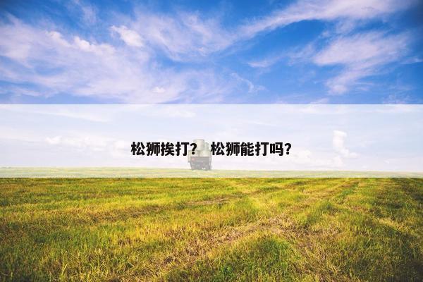 松狮挨打？ 松狮能打吗？