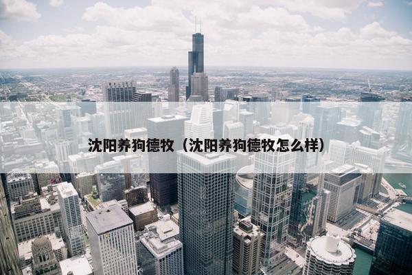 沈阳养狗德牧（沈阳养狗德牧怎么样）