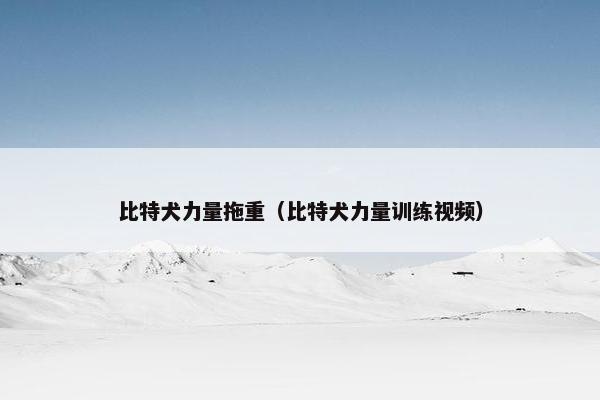 比特犬力量拖重（比特犬力量训练视频）