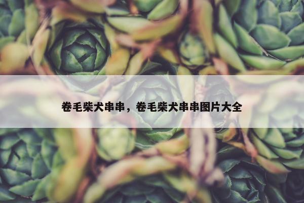 卷毛柴犬串串，卷毛柴犬串串图片大全