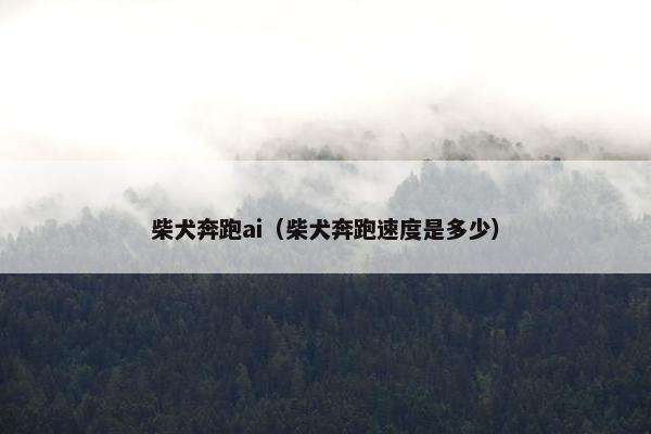 柴犬奔跑ai（柴犬奔跑速度是多少）