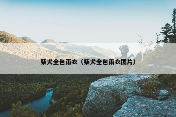 柴犬全包雨衣（柴犬全包雨衣图片）