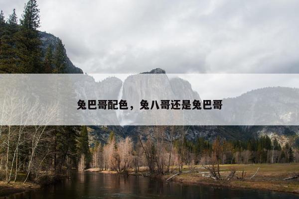 兔巴哥配色，兔八哥还是兔巴哥