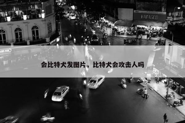 会比特犬发图片，比特犬会攻击人吗