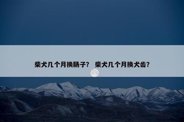 柴犬几个月换肠子？ 柴犬几个月换犬齿？