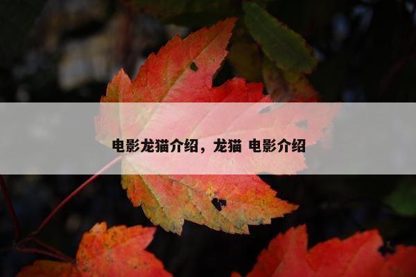 电影龙猫介绍，龙猫 电影介绍