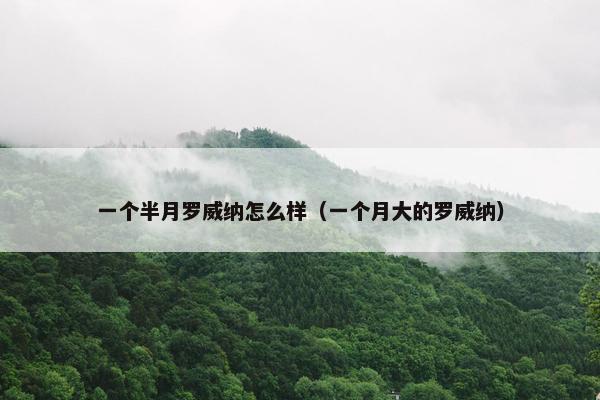 一个半月罗威纳怎么样（一个月大的罗威纳）