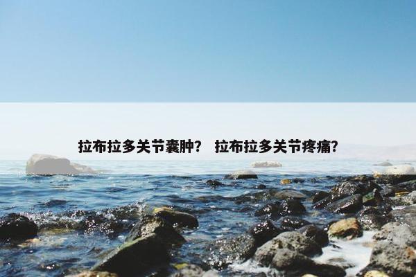 拉布拉多关节囊肿？ 拉布拉多关节疼痛？