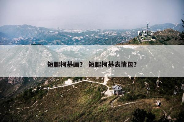 短腿柯基画？ 短腿柯基表情包？