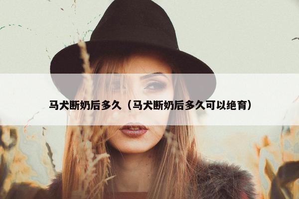 马犬断奶后多久（马犬断奶后多久可以绝育）