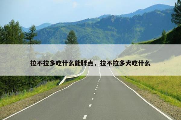 拉不拉多吃什么能胖点，拉不拉多犬吃什么