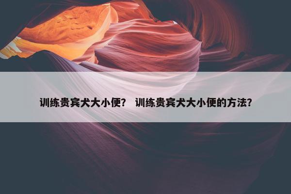 训练贵宾犬大小便？ 训练贵宾犬大小便的方法？