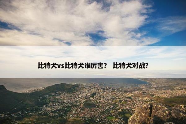 比特犬vs比特犬谁厉害？ 比特犬对战？