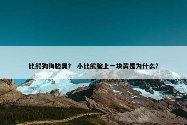 比熊狗狗脸臭？ 小比熊脸上一块黄是为什么？