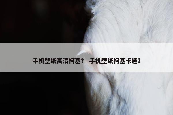 手机壁纸高清柯基？ 手机壁纸柯基卡通？