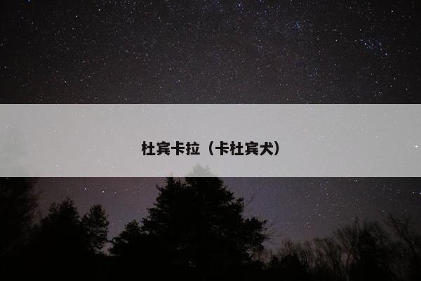 杜宾卡拉（卡杜宾犬）