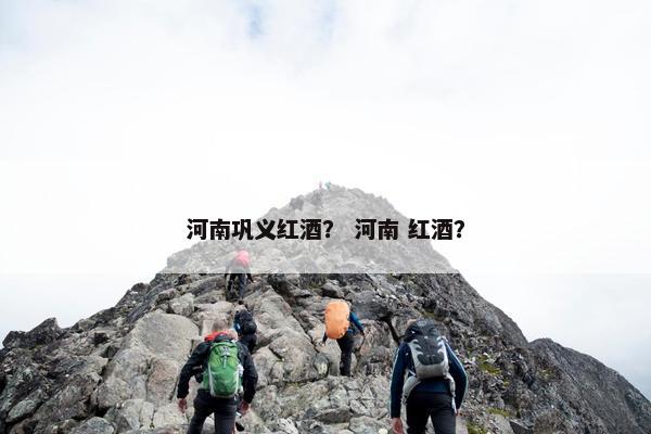 河南巩义红酒？ 河南 红酒？