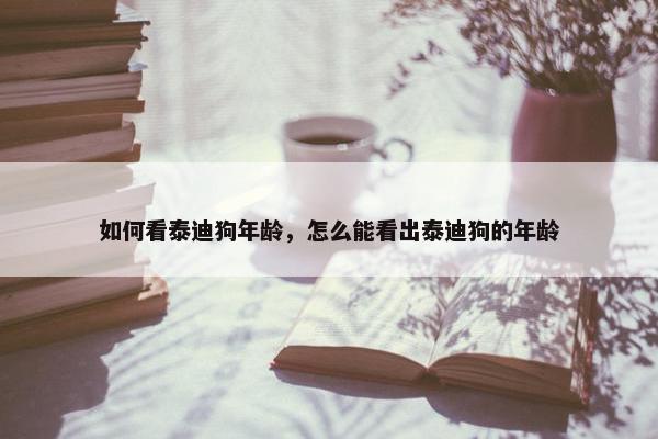 如何看泰迪狗年龄，怎么能看出泰迪狗的年龄