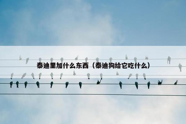 泰迪里加什么东西（泰迪狗给它吃什么）