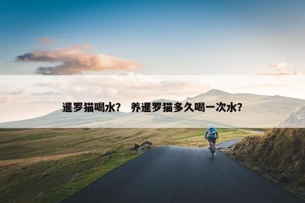 暹罗猫喝水？ 养暹罗猫多久喝一次水？