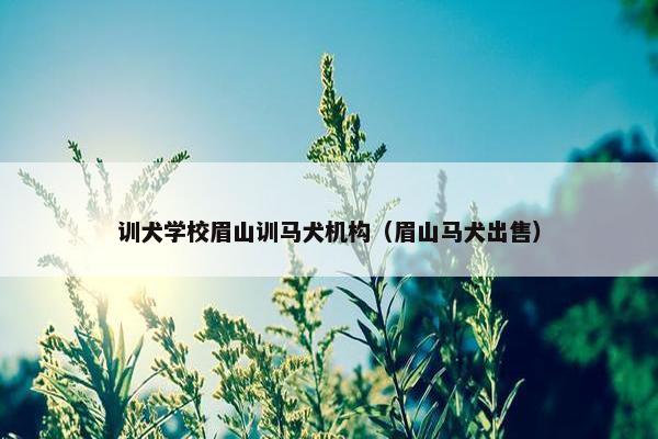 训犬学校眉山训马犬机构（眉山马犬出售）