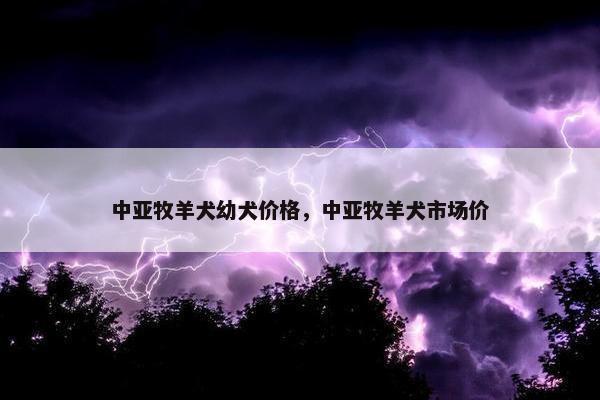 中亚牧羊犬幼犬价格，中亚牧羊犬市场价
