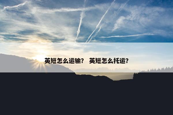 英短怎么运输？ 英短怎么托运？
