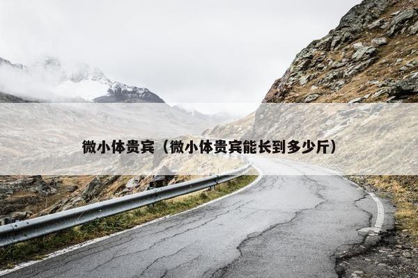 微小体贵宾（微小体贵宾能长到多少斤）