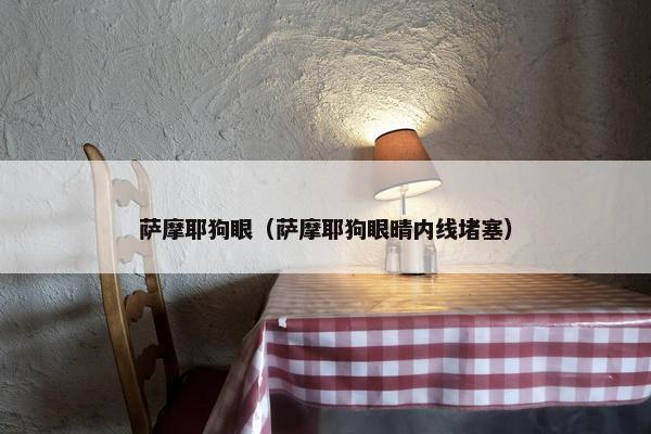 萨摩耶狗眼（萨摩耶狗眼晴内线堵塞）
