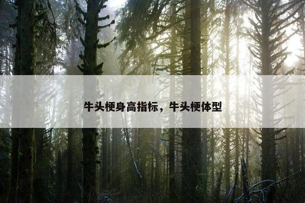 牛头梗身高指标，牛头梗体型