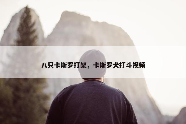 八只卡斯罗打架，卡斯罗犬打斗视频