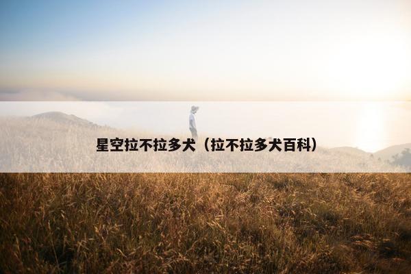 星空拉不拉多犬（拉不拉多犬百科）