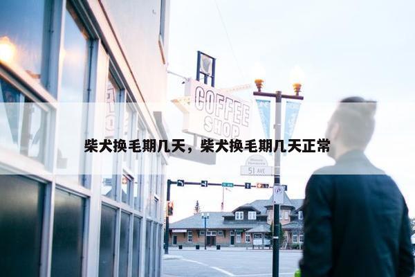 柴犬换毛期几天，柴犬换毛期几天正常