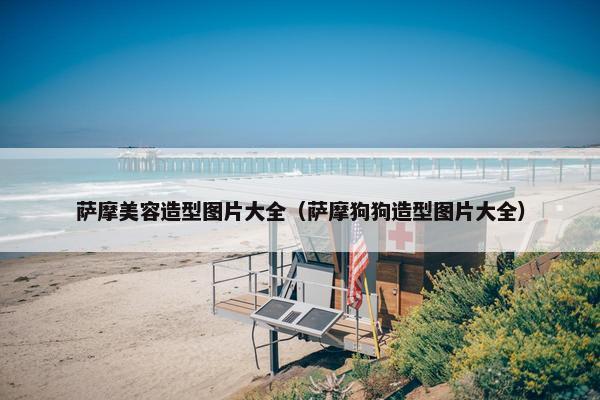 萨摩美容造型图片大全（萨摩狗狗造型图片大全）
