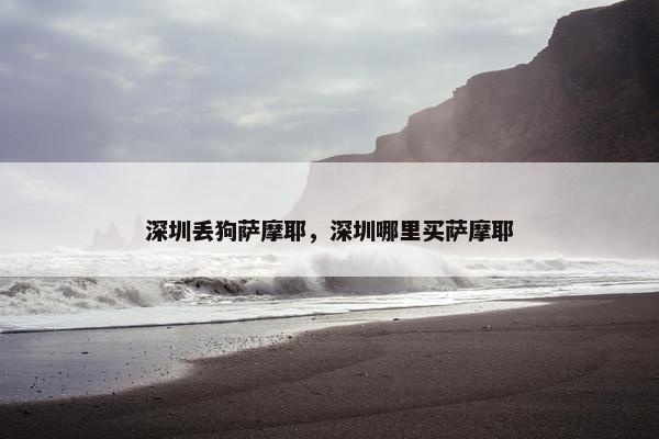 深圳丢狗萨摩耶，深圳哪里买萨摩耶