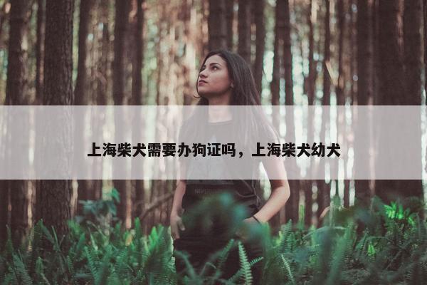 上海柴犬需要办狗证吗，上海柴犬幼犬