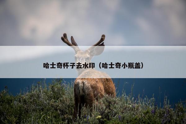 哈士奇杯子去水印（哈士奇小瓶盖）