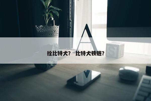 拴比特犬？ 比特犬铁链？