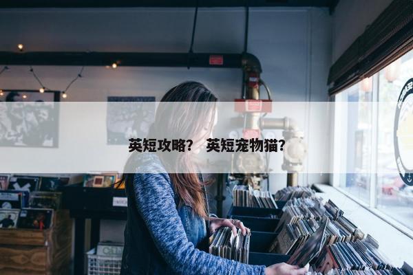 英短攻略？ 英短宠物猫？
