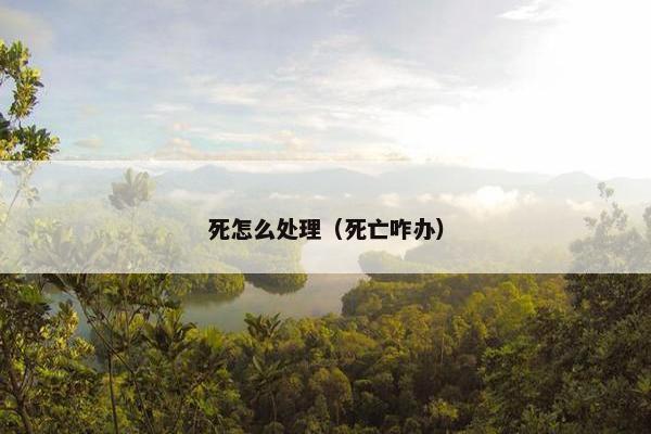 死怎么处理（死亡咋办）