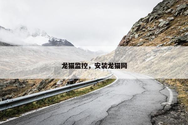 龙猫监控，安装龙猫网