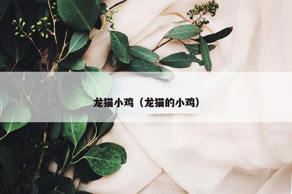 龙猫小鸡（龙猫的小鸡）