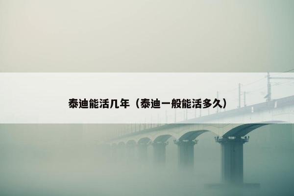 泰迪能活几年（泰迪一般能活多久）