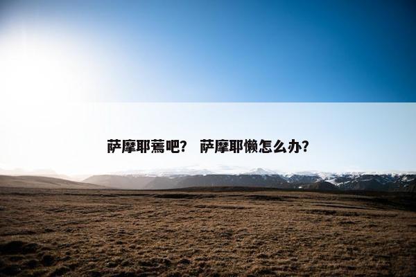 萨摩耶蔫吧？ 萨摩耶懒怎么办？