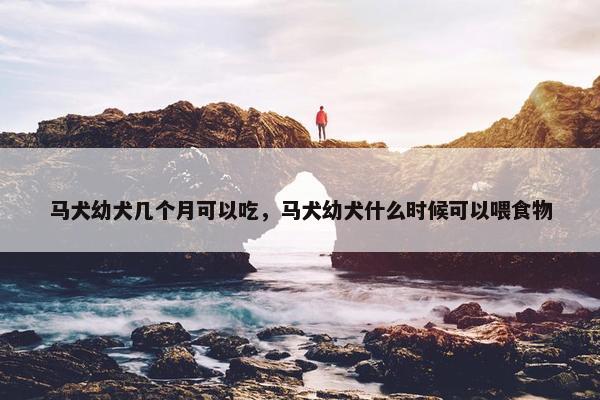 马犬幼犬几个月可以吃，马犬幼犬什么时候可以喂食物