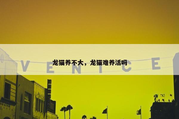 龙猫养不大，龙猫难养活吗