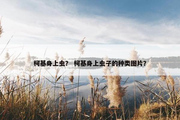 柯基身上虫？ 柯基身上虫子的种类图片？